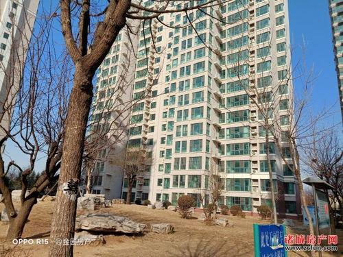 诸城半岛爆料最新消息,揭秘半岛发展新动态